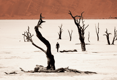/material-alias/各國行程/納米比亞/Namibia.png