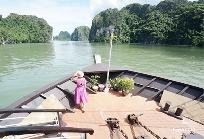 越南下龍灣｜Azalea Cruise杜鵑花遊輪三天兩夜-出海跳島行程