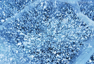 {冬遊貝加爾湖} 冰湖上的氣泡與冰柱