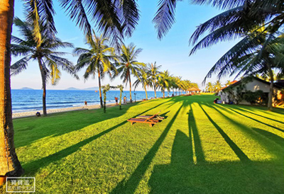 越南會安住宿》棕櫚園海灘Spa度假村，私人沙灘泳池五星級親子飯店