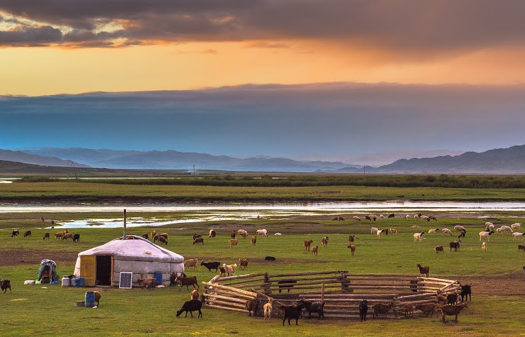 春回蒙古 風吹草低見牛羊 成吉思汗最想念的地方～