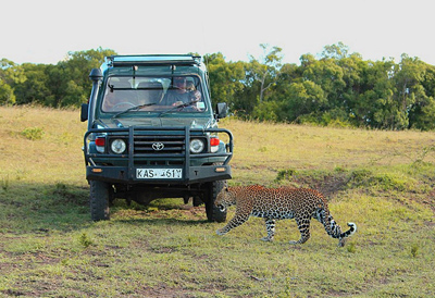 肯亞動物方城市 野生動物伴遊過春節！